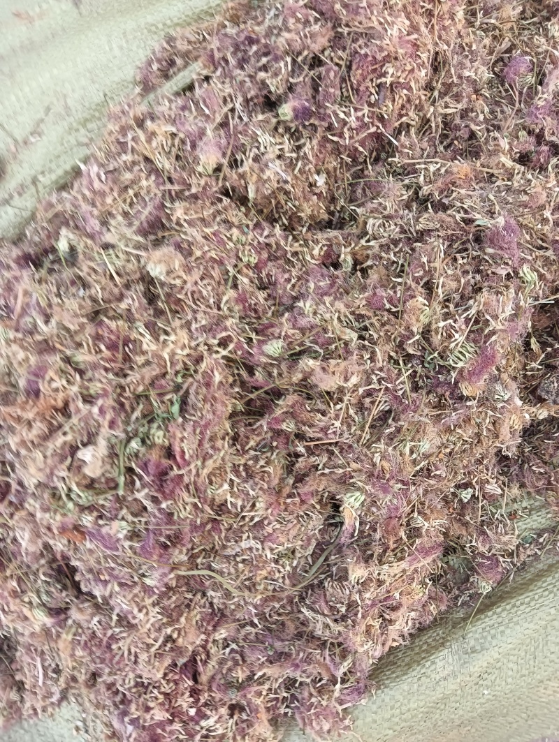 合欢花