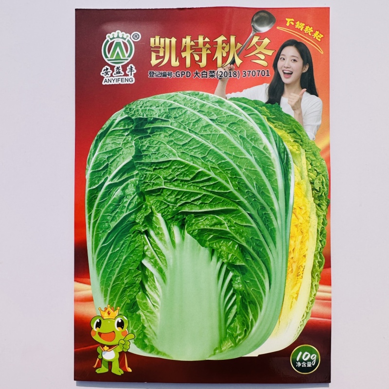 凯特秋冬大白菜种子特大颗杂交黄心白菜种子秋季黄芯结球白菜