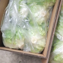 球生菜