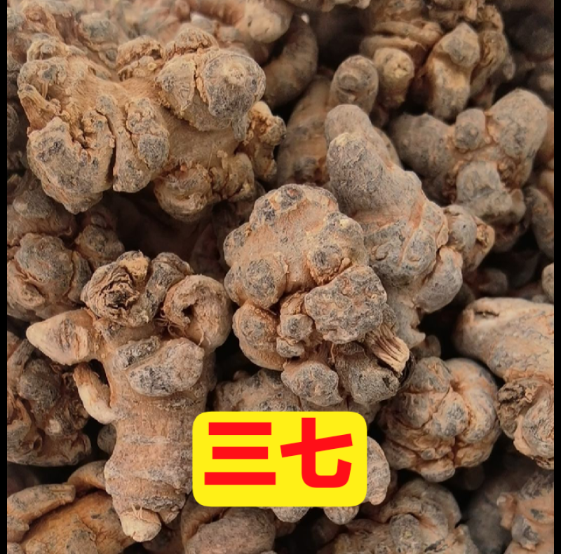 三七头大量有货各种规格齐全欢迎各位老板来电咨询订购