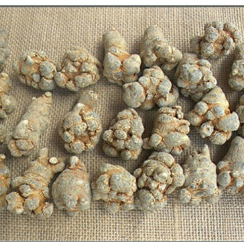 三七头大量有货各种规格齐全欢迎各位老板来电咨询订购