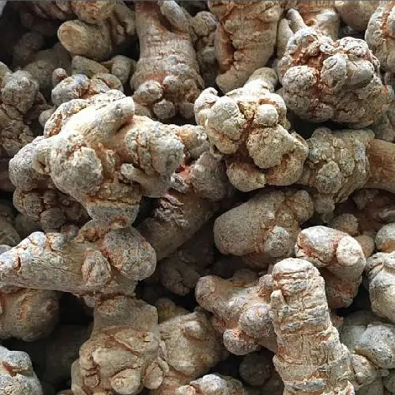 三七头大量有货各种规格齐全欢迎各位老板来电咨询订购