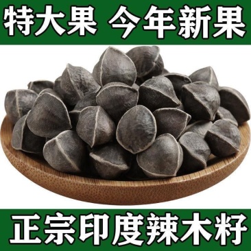 辣木籽果仁泡温水100g
