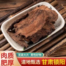 【内蒙金锁阳】锁阳切片
