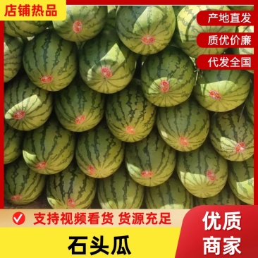 宁夏真宗石头瓜，大量出货中，需要赶紧联系，诚信合作，