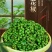 新鲜青花椒麻椒2025年新鲜湿花椒真空包装一件代发