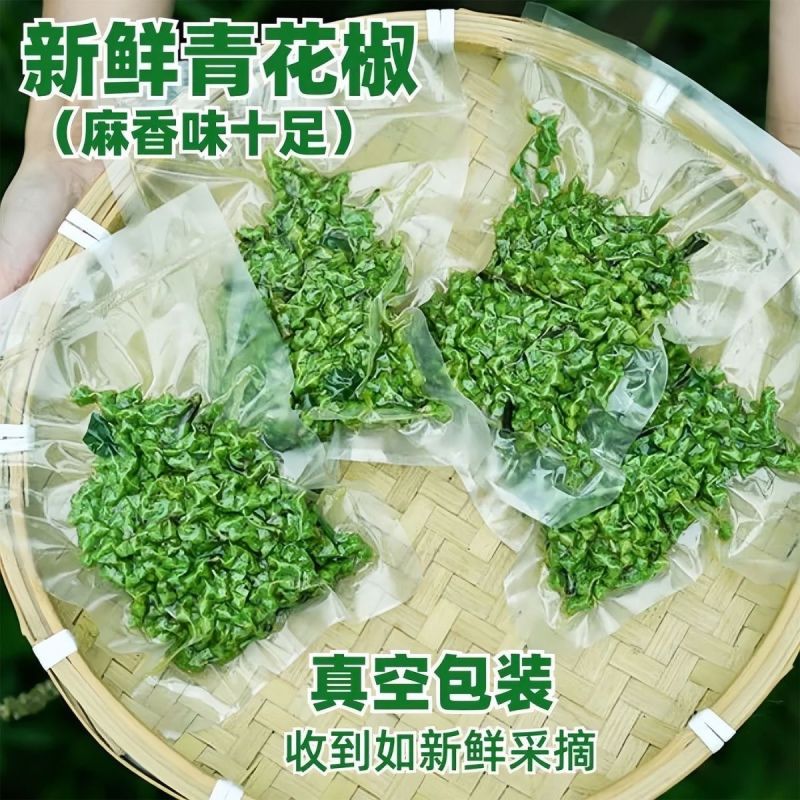 新鲜青花椒麻椒2025年新鲜湿花椒真空包装一件代发