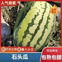 宁夏石头瓜即将上市，欢迎各位老板前来采购