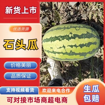 宁夏石头瓜,只做精品中的西瓜,产地直销,品质保障欢迎订购