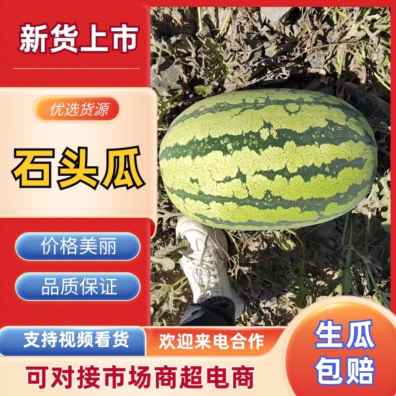 宁夏石头瓜，只做精品中的西瓜，产地直销，品质保障欢迎订购