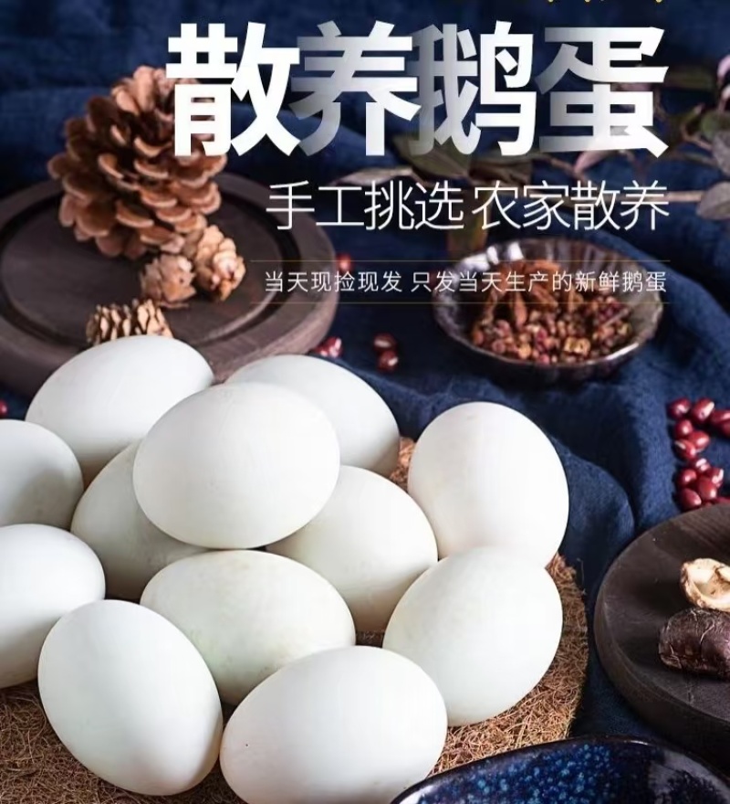 鹅蛋土鹅蛋山东鹅蛋大白鹅蛋新鲜鹅蛋口感好营养丰富