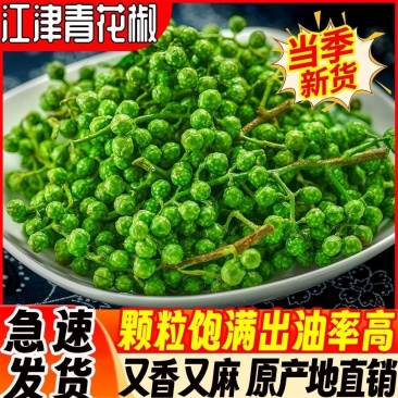 新鲜青花椒麻椒2025年新鲜湿花椒真空包装一件代发