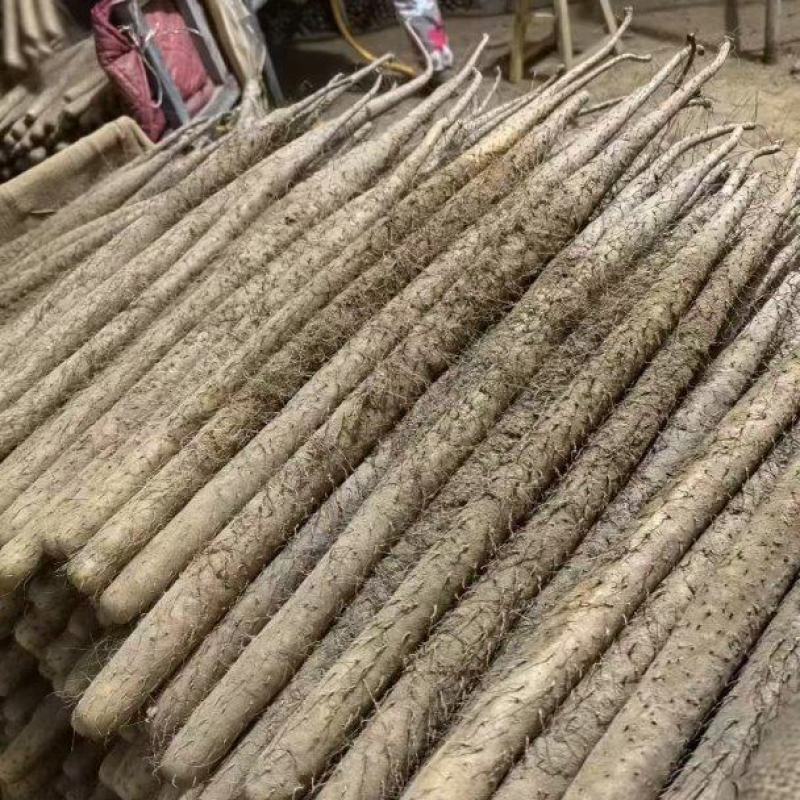 价格不高，物美价廉