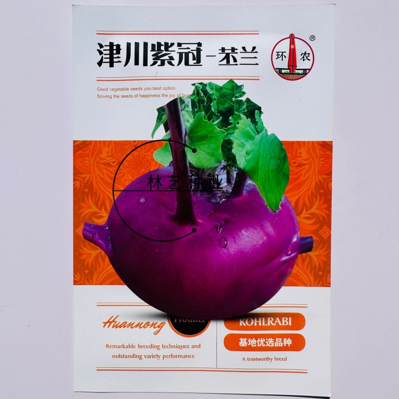 津川紫冠苤兰种子紫红色苤蓝种籽中熟扁圆皮薄质脆秋季紫苤蓝