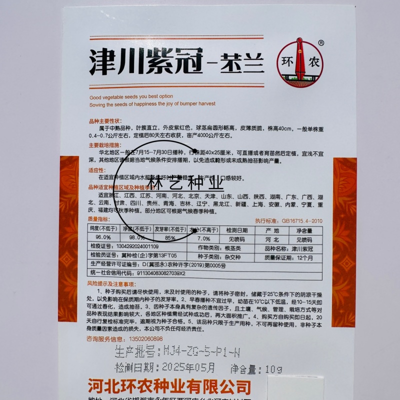 津川紫冠苤兰种子紫红色苤蓝种籽中熟扁圆皮薄质脆秋季紫苤蓝