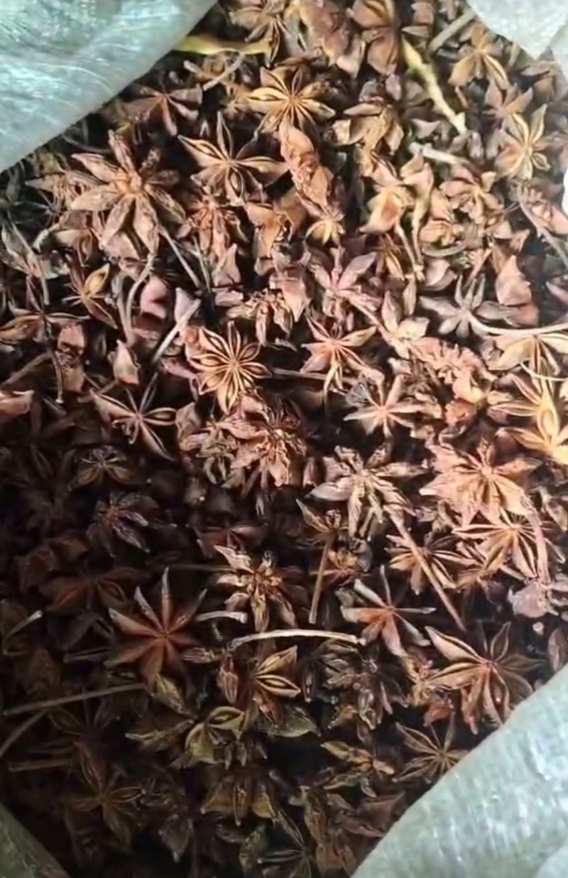 推荐精品八角干货八角货源充足量大从优品质保证正宗