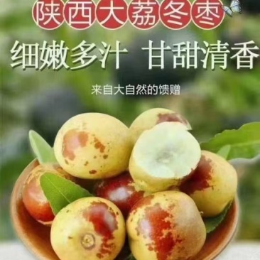 大荔冬枣大量上市产地直发，品质保证，服务周到，诚信经营