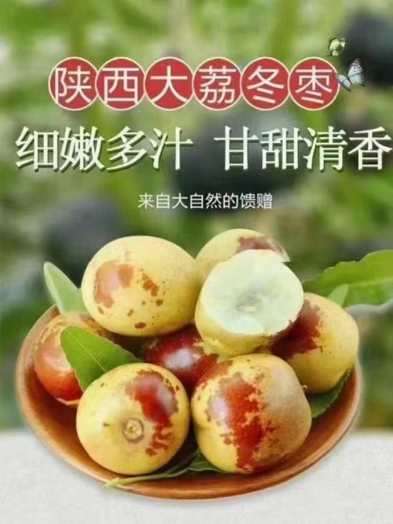 大荔冬枣大量上市产地直发，品质保证，服务周到，诚信经营