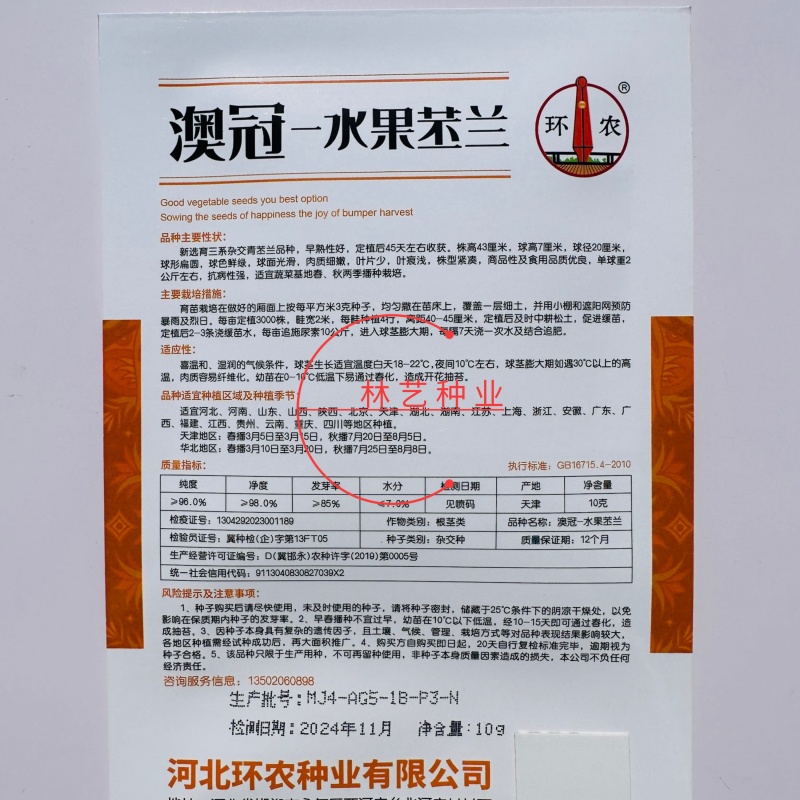 澳冠水果苤兰种子早熟三系杂交青苤兰种子球形扁圆水果苤蓝种
