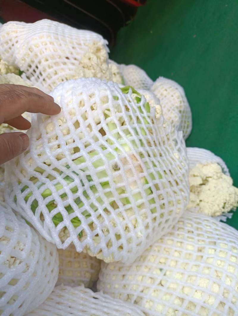 花菜松花菜精品万亩蔬菜基地产地直供，白面青梗河南花菜开封