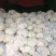花菜松花菜精品万亩蔬菜基地产地直供，白面青梗河南花菜开封