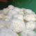 花菜松花菜精品万亩蔬菜基地产地直供，白面青梗河南花菜开封