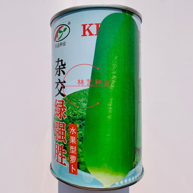 杂交绿强胜水果型萝卜种子杂交翠绿色皮薄肉质脆嫩香甜青萝卜
