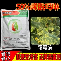 默赛安培喜烯酰吗啉50%黄瓜霜霉病杀卵菌纲杀菌剂