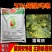 默赛安培喜烯酰吗啉50%黄瓜霜霉病杀卵菌纲杀菌剂