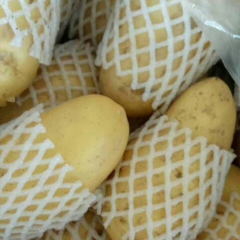 【精品土豆】沃土土豆，通货2两以上可视频看货