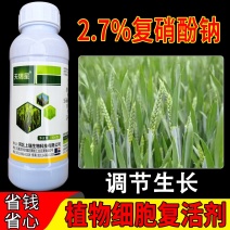 老牌子天瑞星复硝酚钠2.7%小麦调节生长植物生长调