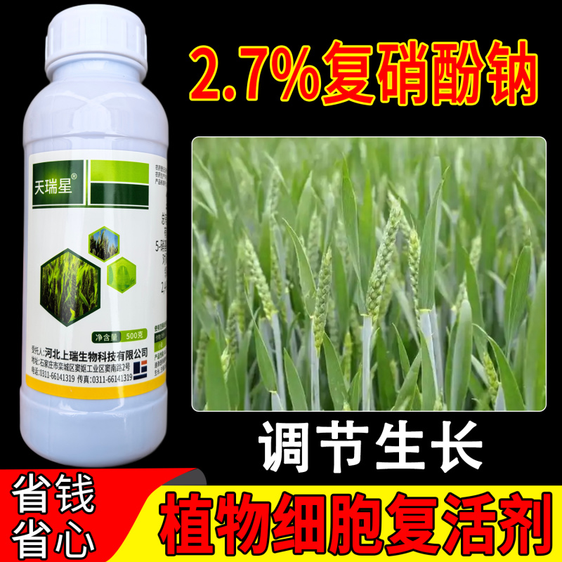 老牌子天瑞星复硝酚钠2.7%小麦调节生长植物生长调