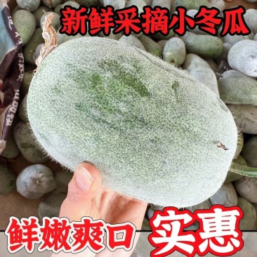 一串铃小冬瓜，现货现发，品质保证，量大从优可对接电商商超