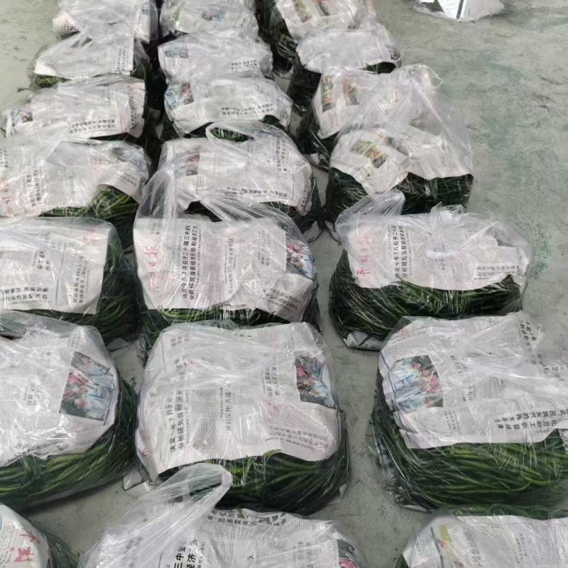 精品杭椒，大量供货，价格便宜，产地直发供货量大