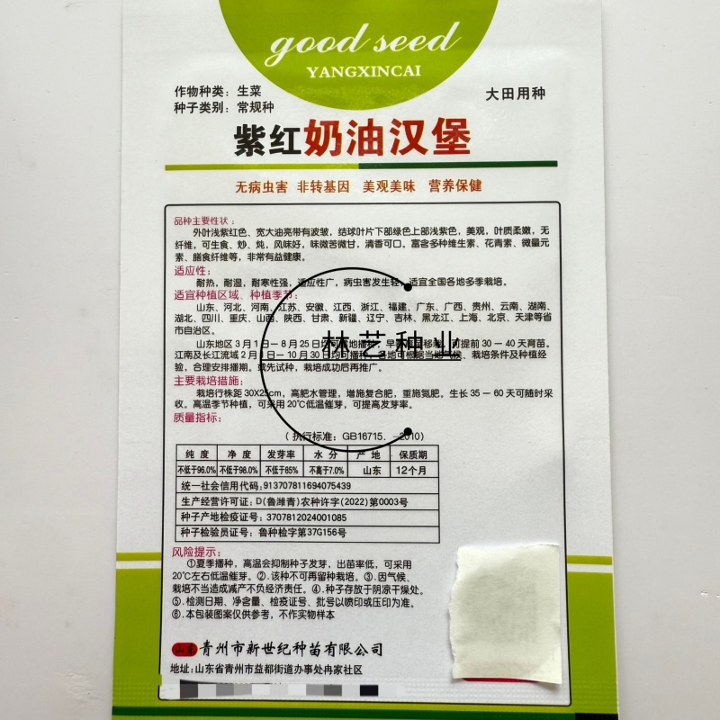 紫红奶油汉堡生菜种子紫叶生菜种子甜脆沙拉菜罗马生菜