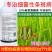 默赛鲜丰10%春雷寡糖素水稻稻瘟病条斑病黄瓜角斑病杀
