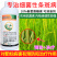 默赛鲜丰10%春雷寡糖素水稻稻瘟病条斑病黄瓜角斑病杀