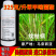 美国默赛喜奥325克/升苯甲嘧菌酯水稻纹枯病进口杀菌剂