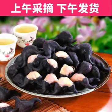 洪湖菱角新鲜老菱角粉糯莲角黑菱角湖北特产菱角新鲜生棱角凌角
