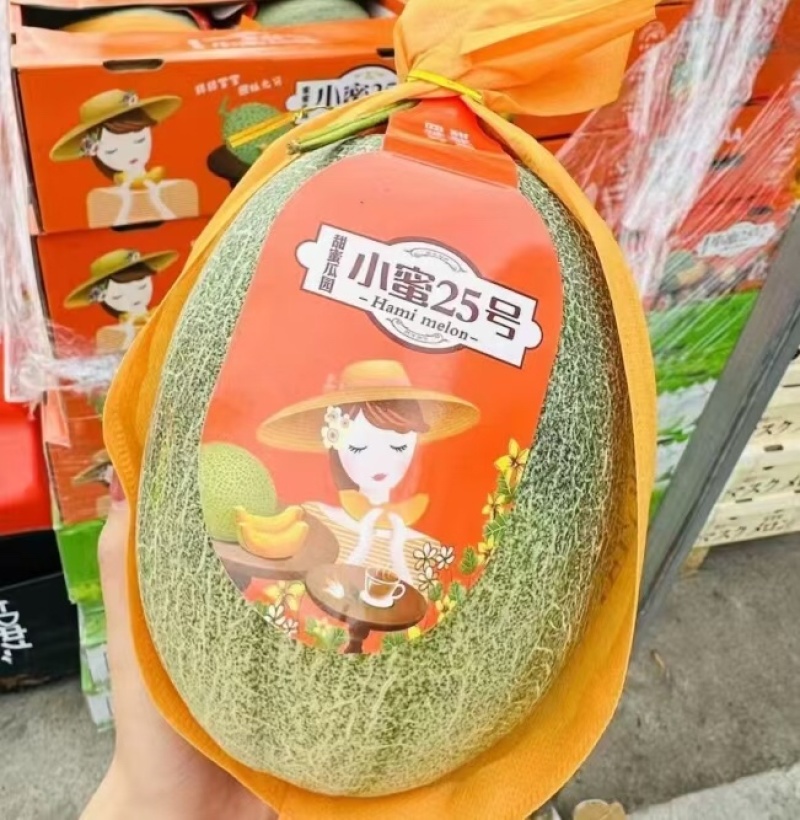 山东西州蜜哈密瓜，糖度高，口感好，产地直销，全国发货