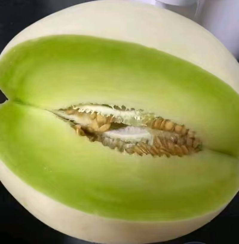 山东潍坊玉菇甜瓜，香瓜，蜜瓜，糖度高，口感好，产地直发