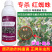 老牌子植校长阿维菌素18克/升棉花触杀胃毒红蜘蛛杀虫