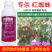老牌子植校长阿维菌素18克/升棉花触杀胃毒红蜘蛛杀虫
