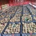 湖南湘西凤凰猕猴桃米良一号，现货大量供应各大电商、市场。