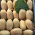湖南湘西凤凰猕猴桃米良一号，现货大量供应各大电商、市场。