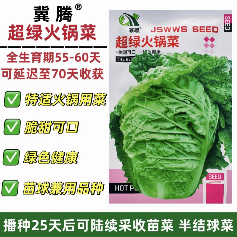 超绿火锅菜种子秋冬白菜种籽皱叶大白菜种子杂交抗病高产蔬菜