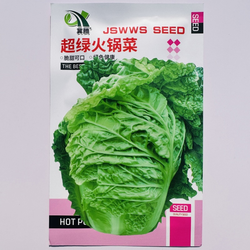 超绿火锅菜种子秋冬白菜种籽皱叶大白菜种子杂交抗病高产蔬菜
