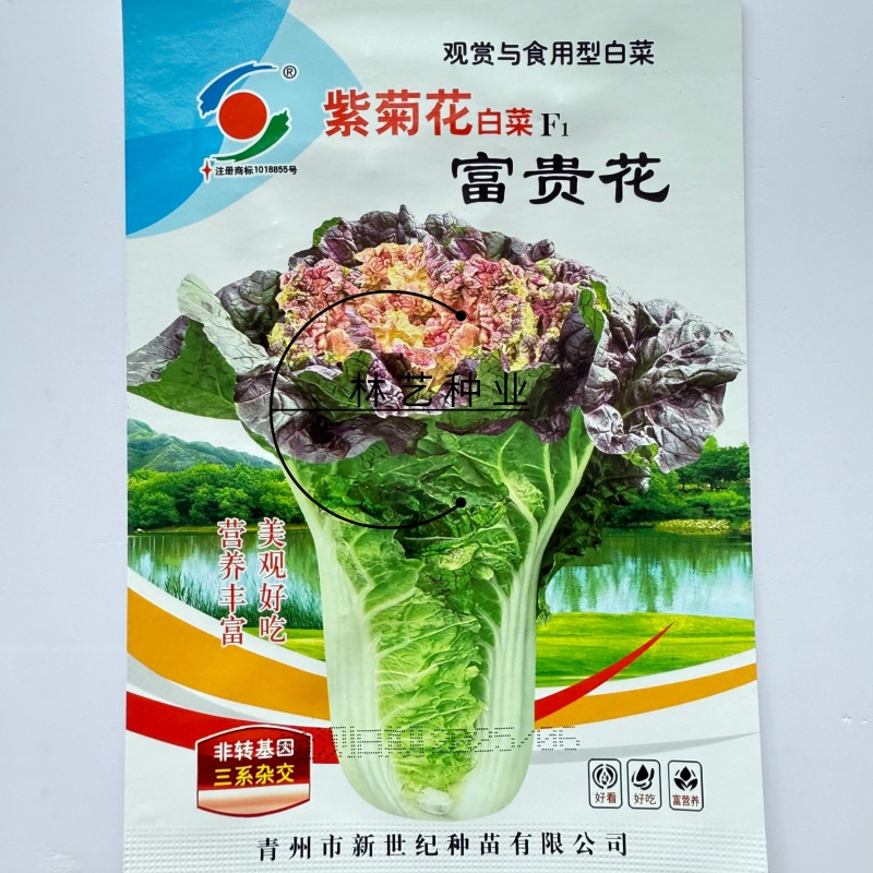 富贵花紫菊花白菜种子高产抗病耐热耐寒农家菜园家庭阳台