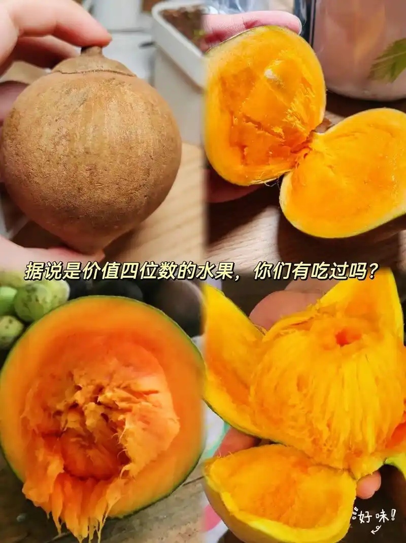 椰柿树苗，（椰蜜果）原产地为南美洲亚马逊热带雨林地区