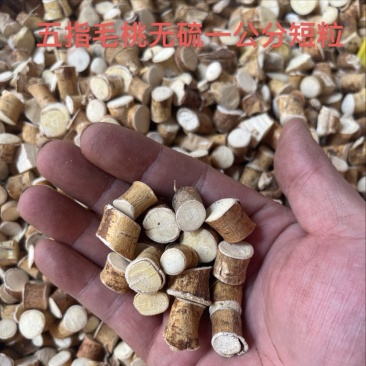广西中药材/五指毛桃/统货/头粒/头片/圆片碎/一公分短粒
